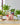 Aveva Design