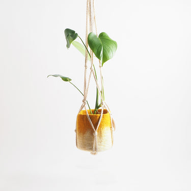 Flower Pot Hanger, Nature