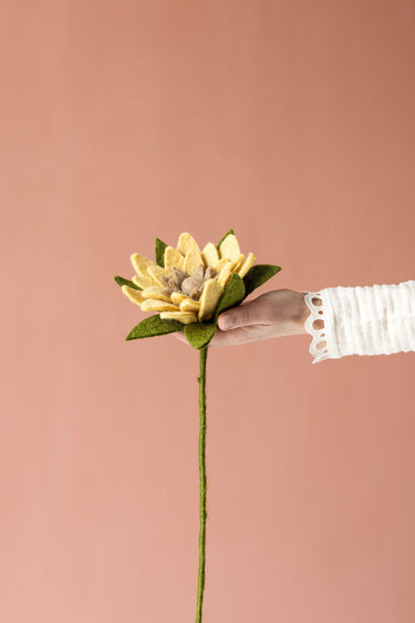 Sunflower - Light Yellow