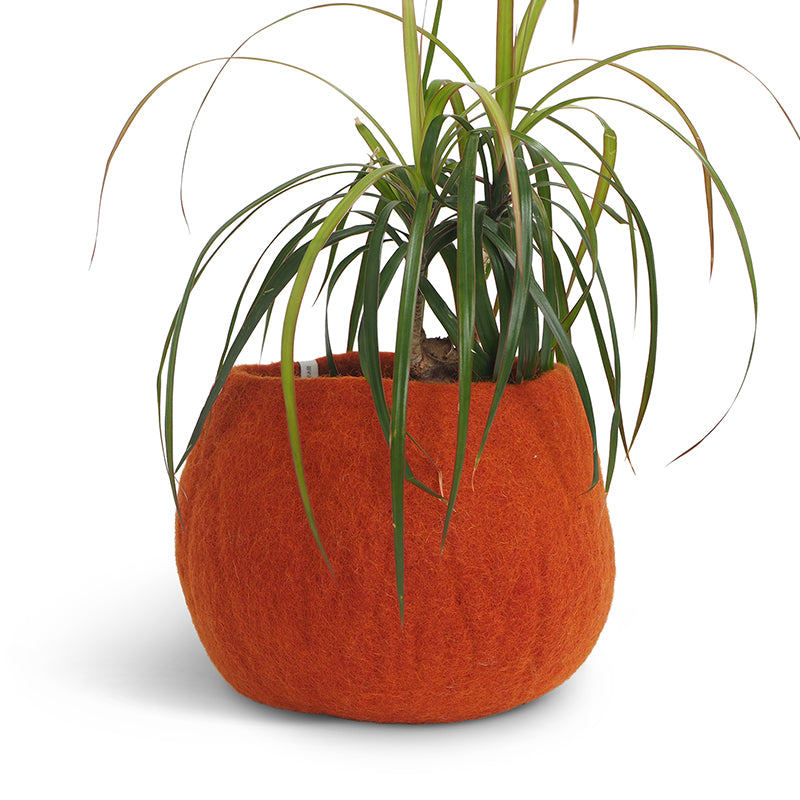 Rust M | Wool Bloempot