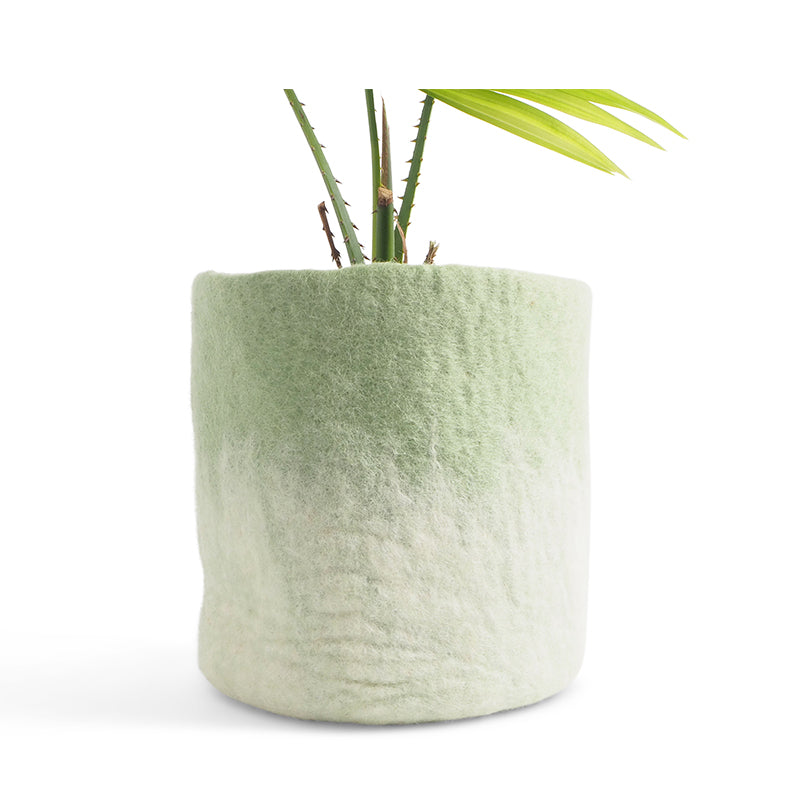 Sage Green L | Wool Bloempot
