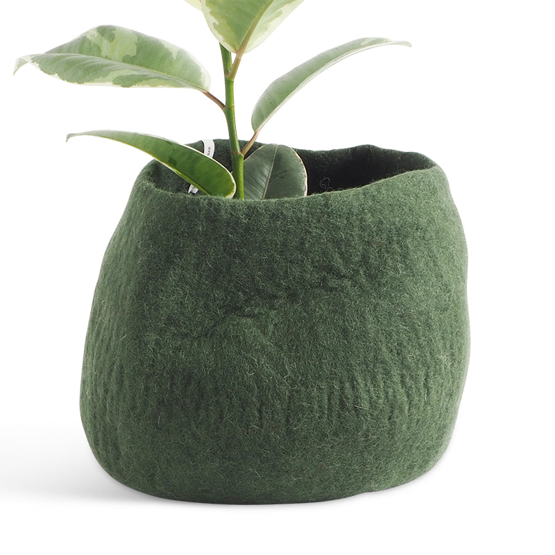 Moss Green | Wool Bloempot