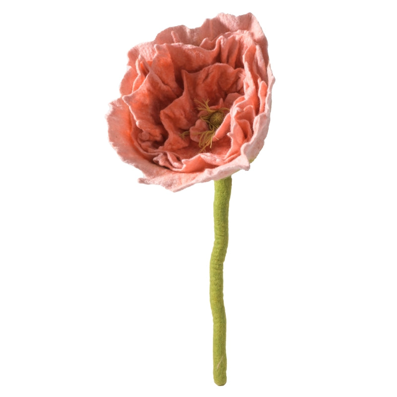 Raspberry Peony | Endless Flower