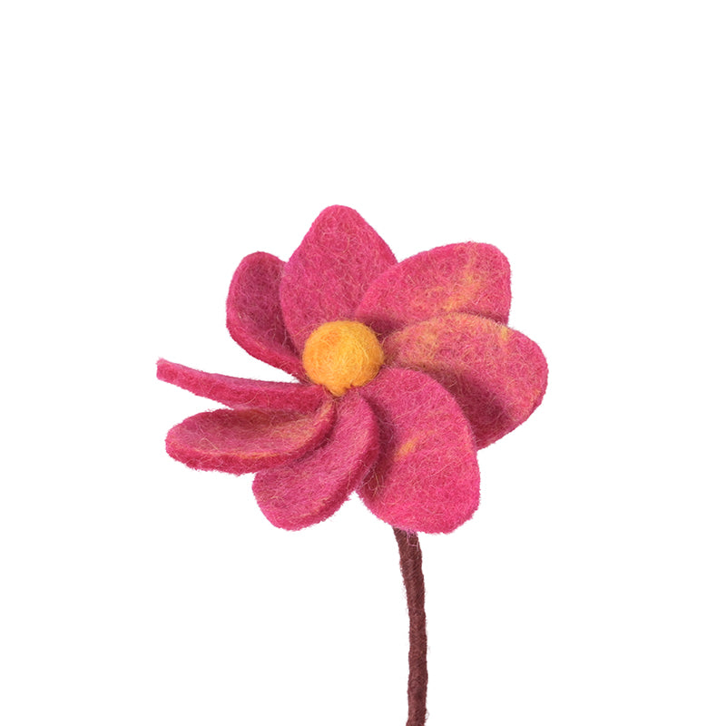 Dahlia Berry | Endless Flower