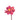 Dahlia Berry | Endless Flower