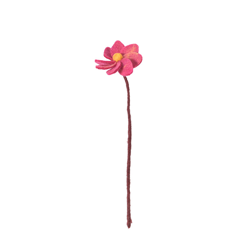Dahlia Berry | Endless Flower