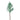 Pine Branch | Endless Flower