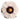 Autumn Anemone Wall Deco - White