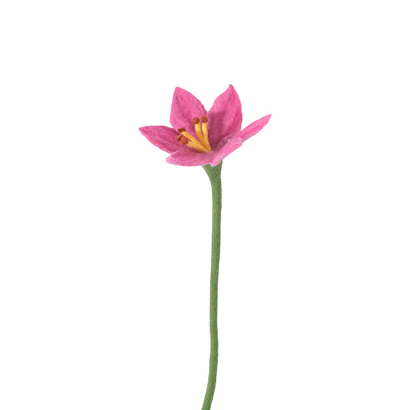Lily Pink | Endless Flower