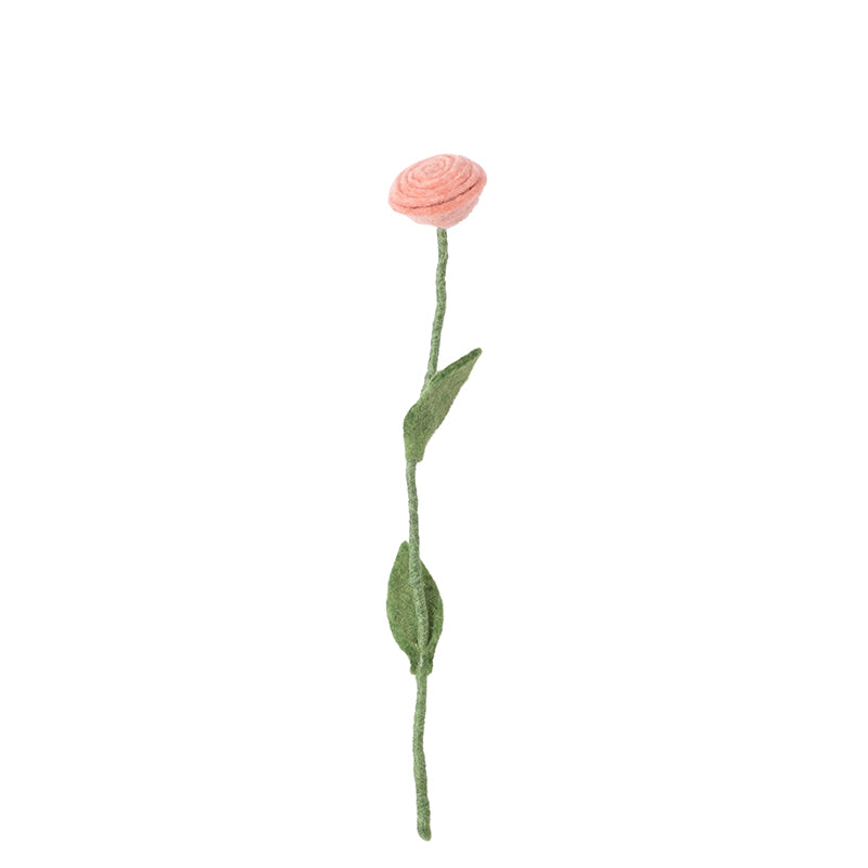 Rose Peach | Endless Flower