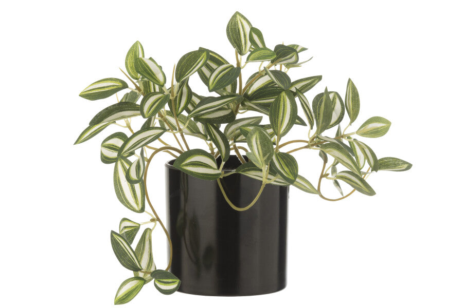 Tradescantia | Kunstplant