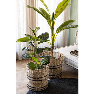 Fiddle Leaf | Kunstplant