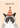 Kaart Blanche - Happy Purrrday