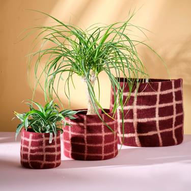 Flower Pot Thin Checked Burgundy M