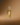 Loucil Focus