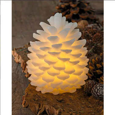 Clara Pinecone S