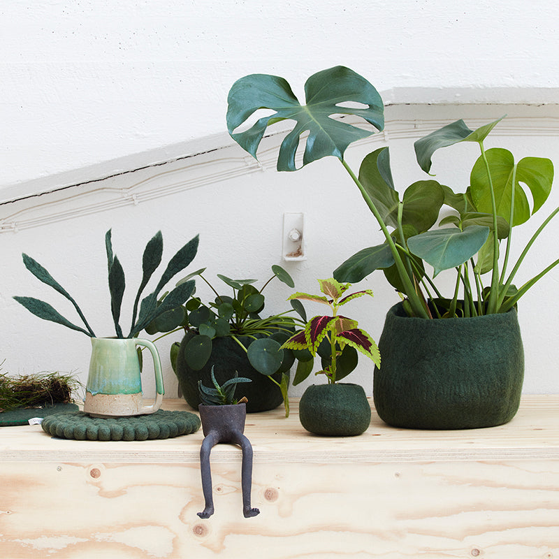 Moss Green | Wool Bloempot