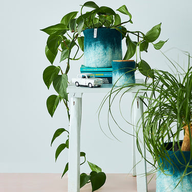 Petrol S | Wool Bloempot