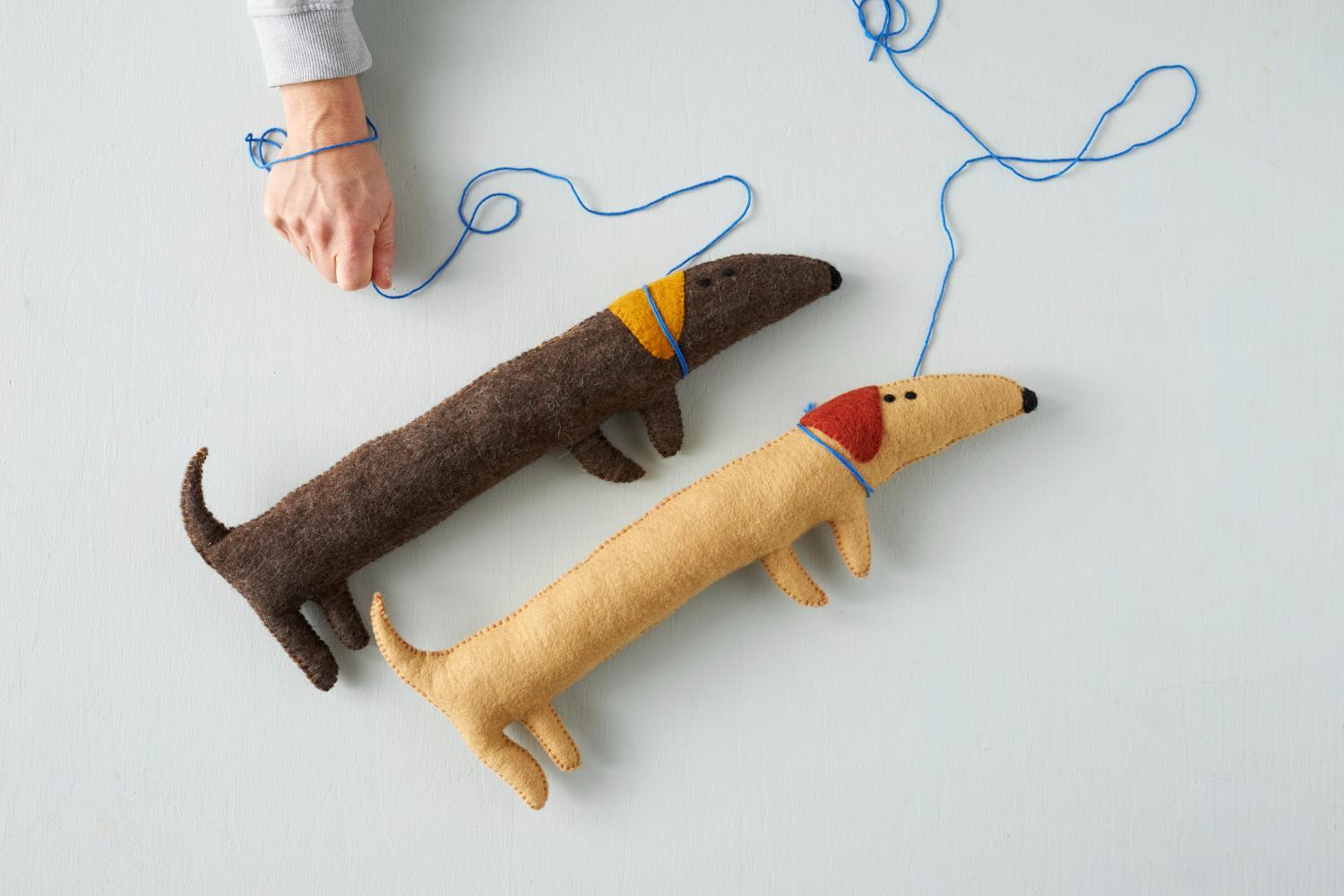 Sausage - Dog | Aveva Animals