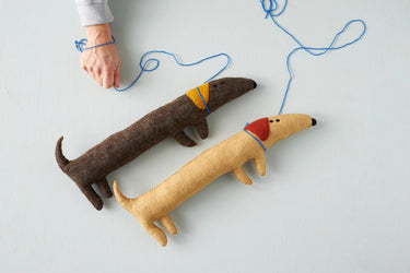 Sausage - Dog | Aveva Animals