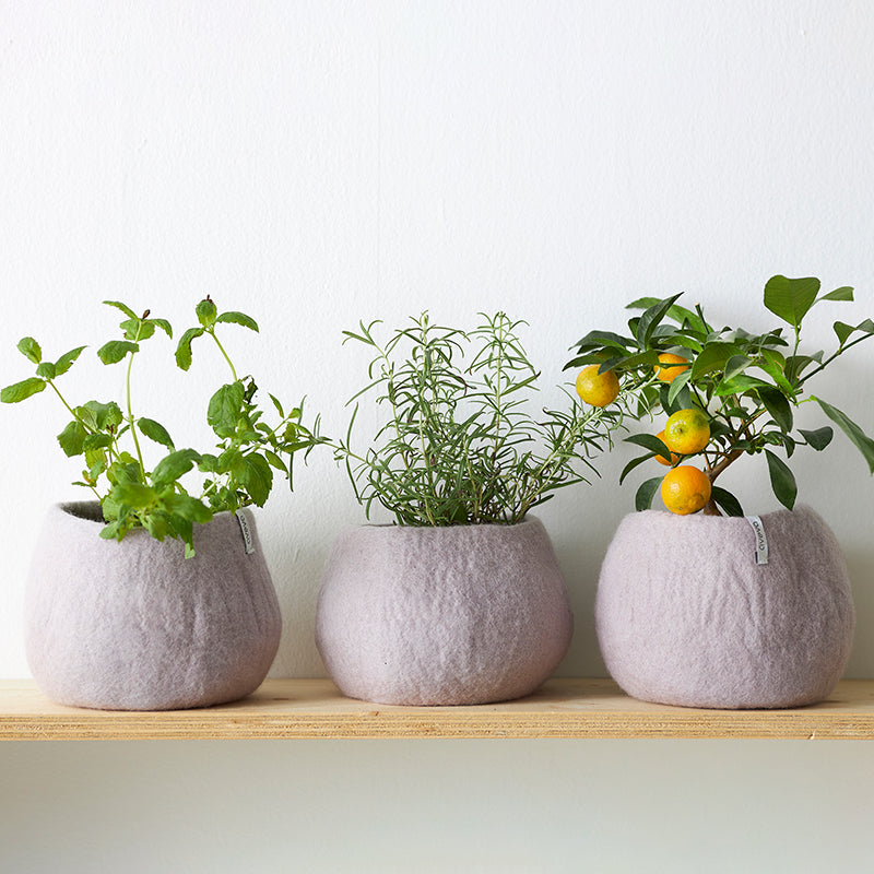 Lavender L | Wool Bloempot